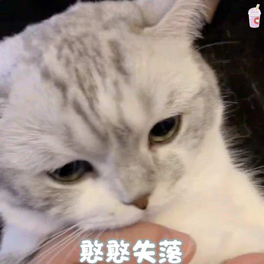 可爱沙雕的qq聊天表情包