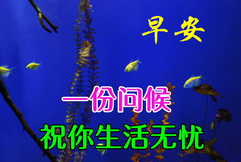 特别漂亮的早上好动态图片表情包大全,初冬最新早晨好