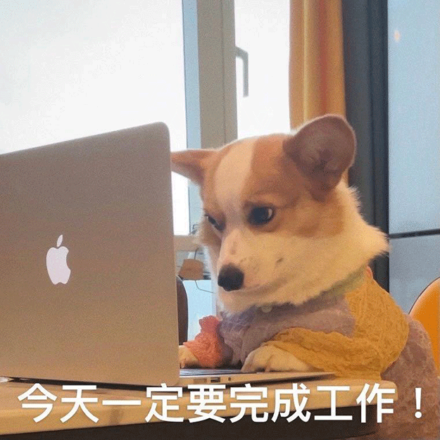 no247丨每日精选沙雕图片表情包