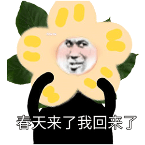 沙雕熊猫头表情包