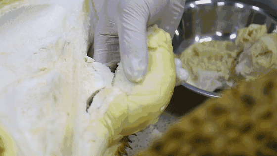 满屏果肉,流心又爆浆,这款榴莲酥也太会撩人了吧