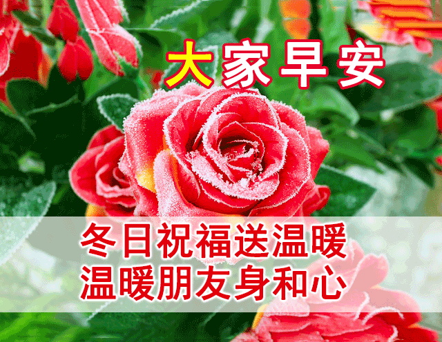 适合发朋友圈的早安心语正能量语录免打字的励志早安图片