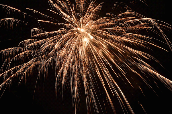 乌节路化身超美圣诞花海虚拟烟花超浪漫在家也能欣赏