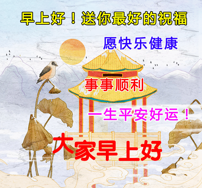 11月14日最漂亮早上好动态表情图片大全,早安问候美图