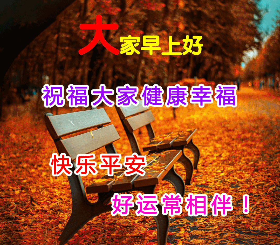 11月14日最漂亮早上好动态表情图片大全,早安问候美图
