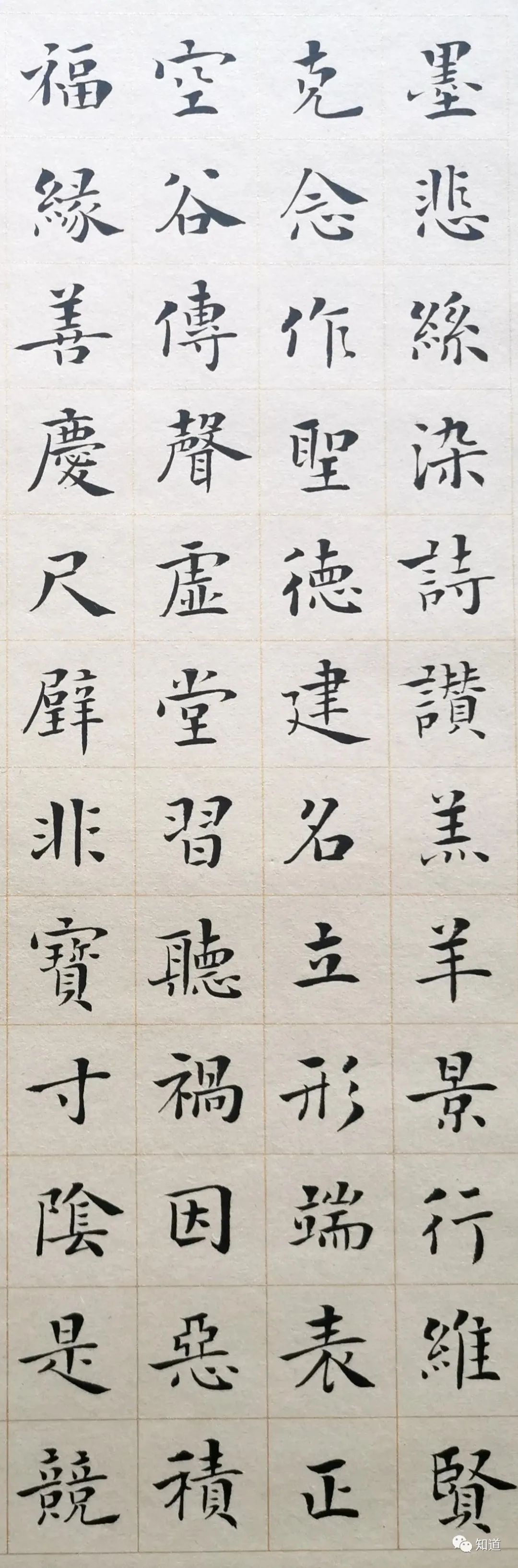 知道书画王刚小楷作品千字文上篇