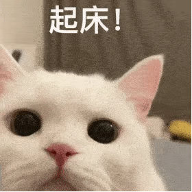 表情包烦躁什么都不想做