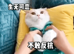微信沙雕表情包我的一整天睡觉吃饭想你