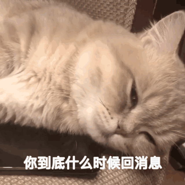 表情包快不行了