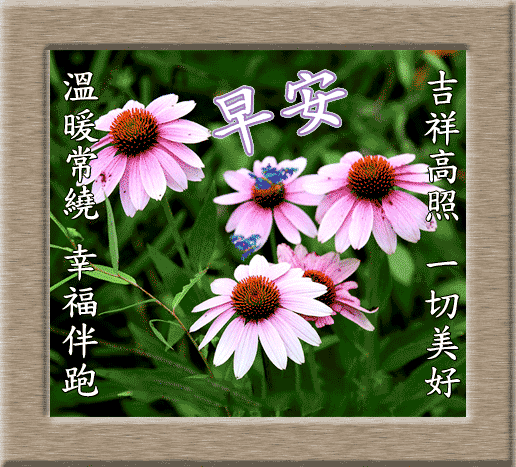 早上好漂亮图片带字问候语早晨好问候语祝福语表情图片大全