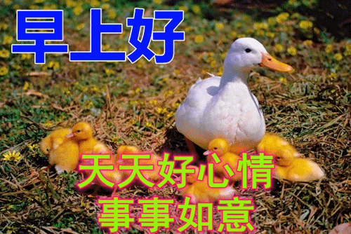 2022年3月02日清晨早上好问候祝福动态表情图片最新早安问候祝福图片