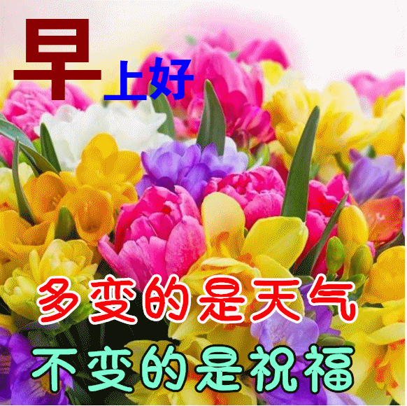 11月23日冬日最新特漂亮早上好图片动态表情大全,最美