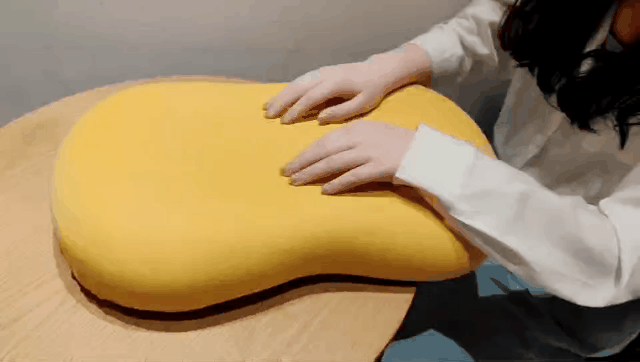 就有一只任你rua的猫咪等你领养啦!