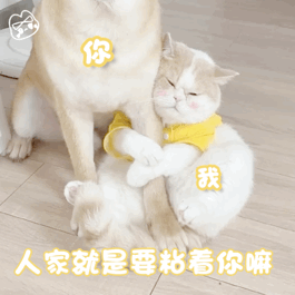 今日热门表情包1118人家就是要黏着你嘛
