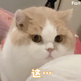 猫猫表情包哒哒哒哒哒哒哒哒～_腾讯新闻