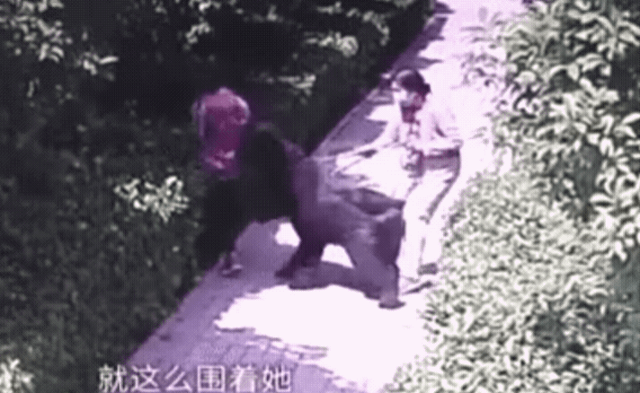 安阳狗咬人 狗仗人势 人仗权势?狗咬人两个月后主人才