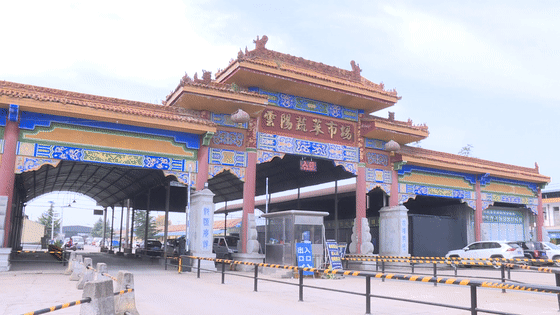 泾阳云阳镇中国西部蔬菜之乡