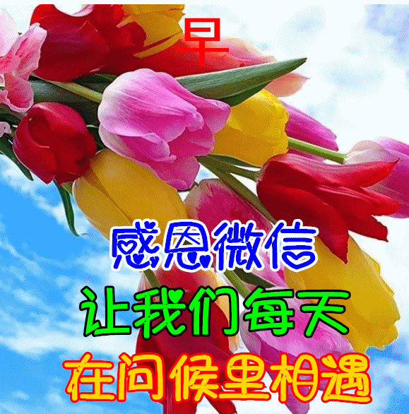 朋友,互相关心时常联系,愿天天开心如意,早安!