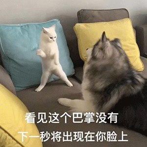 做喵就得做社会喵