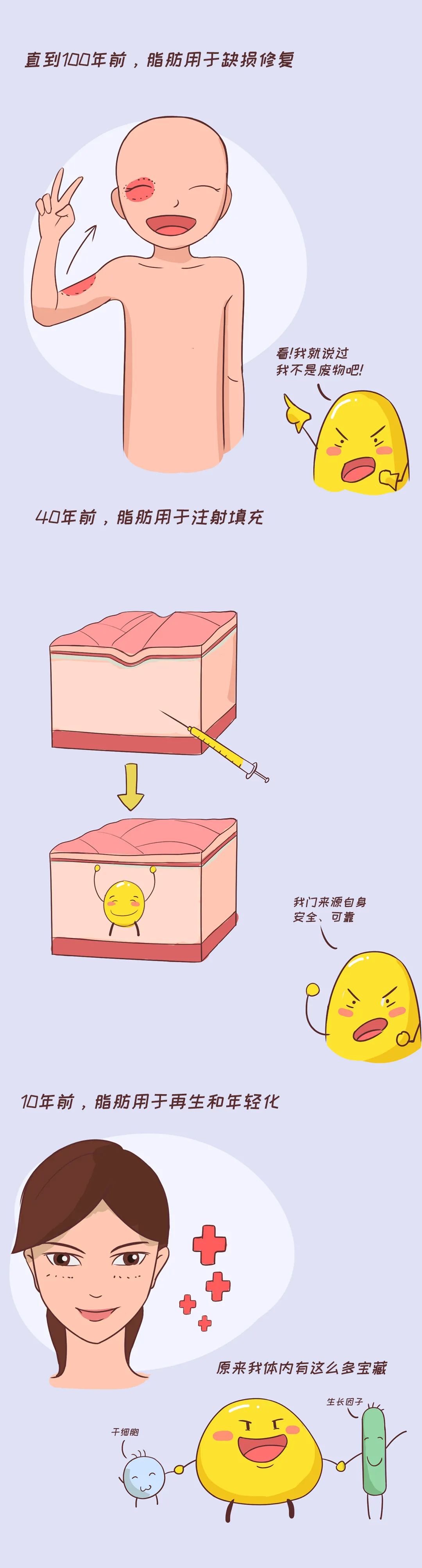 脂肪进化历程小小的身体大大的能量
