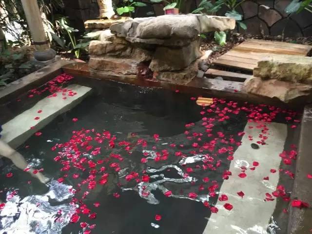 加拿大都市网