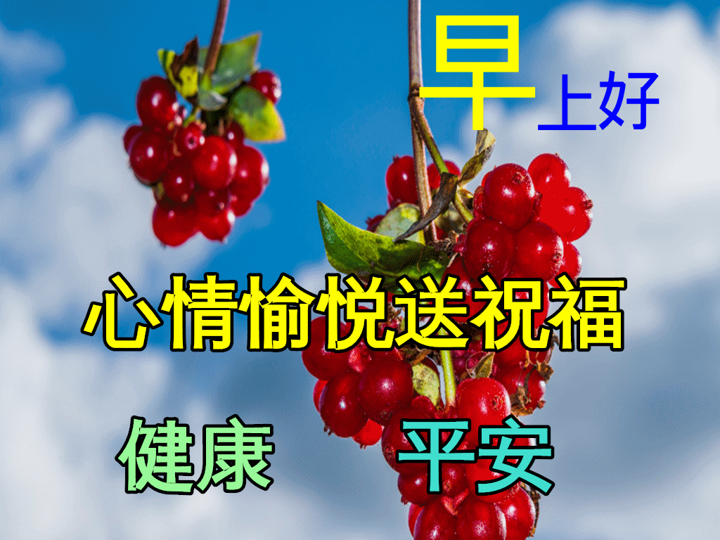 12月31日特别漂亮的早安祝福动态图片大全冬天早上好祝福语