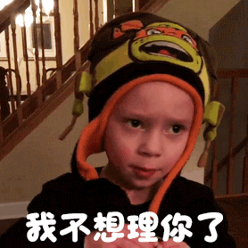 表情包whocare