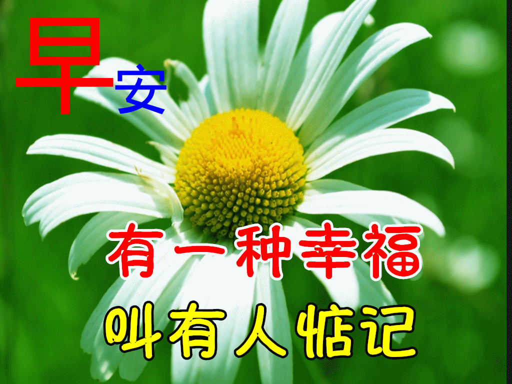 12月1日最新早上好动态表情图片大全,冬天早晨好问候
