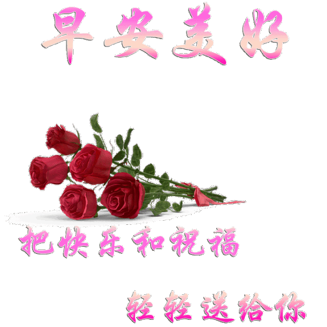 12,美好生活属于善抓机会的人;精彩人生属于勇敢向前的人,幸福属于