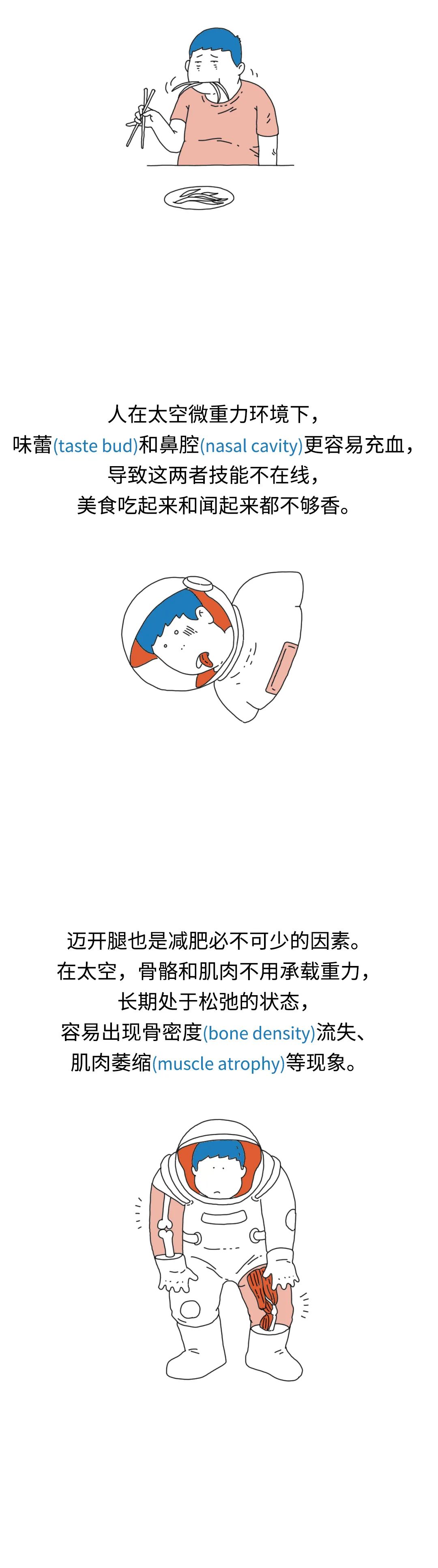 嘘这才是宇航员瘦身的秘密