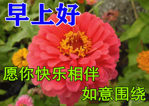 12月3日最新祝福大家早上好最新表情动态图片早上好祝福语句子