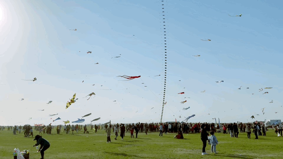 放风筝,一直是我国民间的传统娱乐项目,而潍坊更是因为所造风筝选材