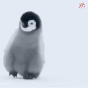 本周又将有冷空气来临