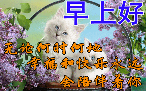 特漂亮早上好图片大全 冬季早上好问候语及祝福语