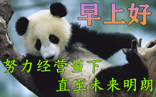 特漂亮早上好图片大全 冬季早上好问候语及祝福语