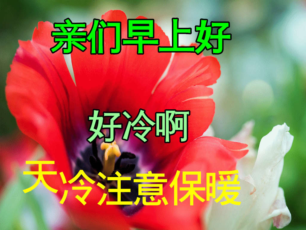 12月25日圣诞节最新早上好日常祝福语大全早晨好日常问候语录新版