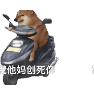 我创死你柴犬狗子骑摩托表情包粉色黄色彩色摩托车都有