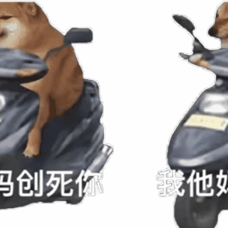 我创死你柴犬狗子骑摩托表情包粉色黄色彩色摩托车都有