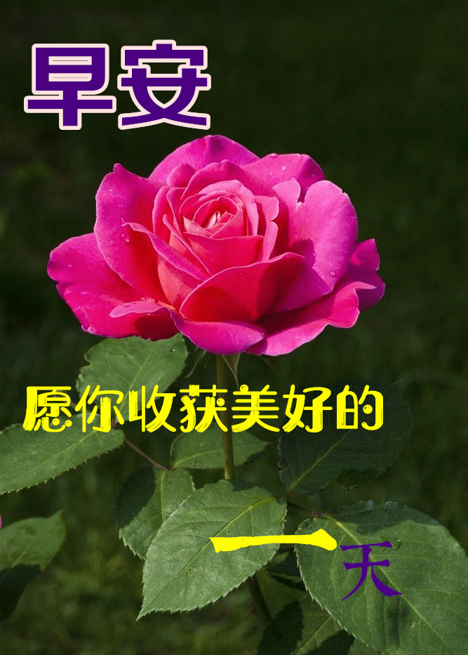 冬日天冷了关心问候早上好图片带祝福语 好看的冬日