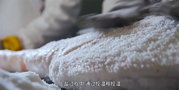 初腌结出盐霜后,"腿墙"就要整面拆下,在清水中浸泡,刷洗,开始晾晒.