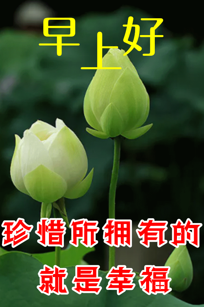 动态早上好表情包丨愉快的心情