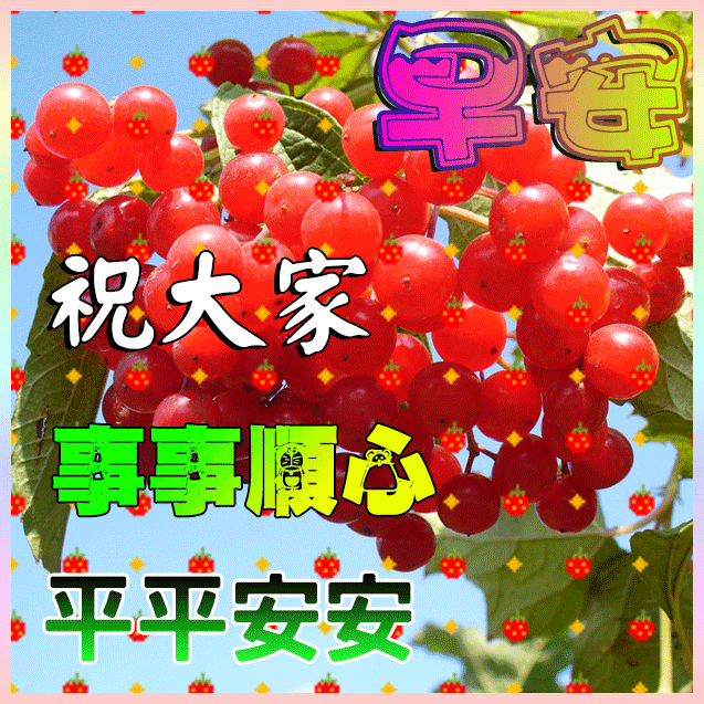 1月11日 每日祝福