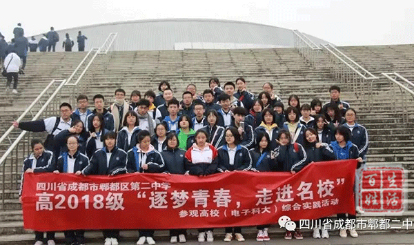 甘为孺子育英才克勤尽力细心裁郫都二中优秀教师屠艳红