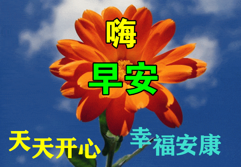 冬日清晨早上好祝福图片带字温馨2022免打字微信早晨好问候祝福语图片