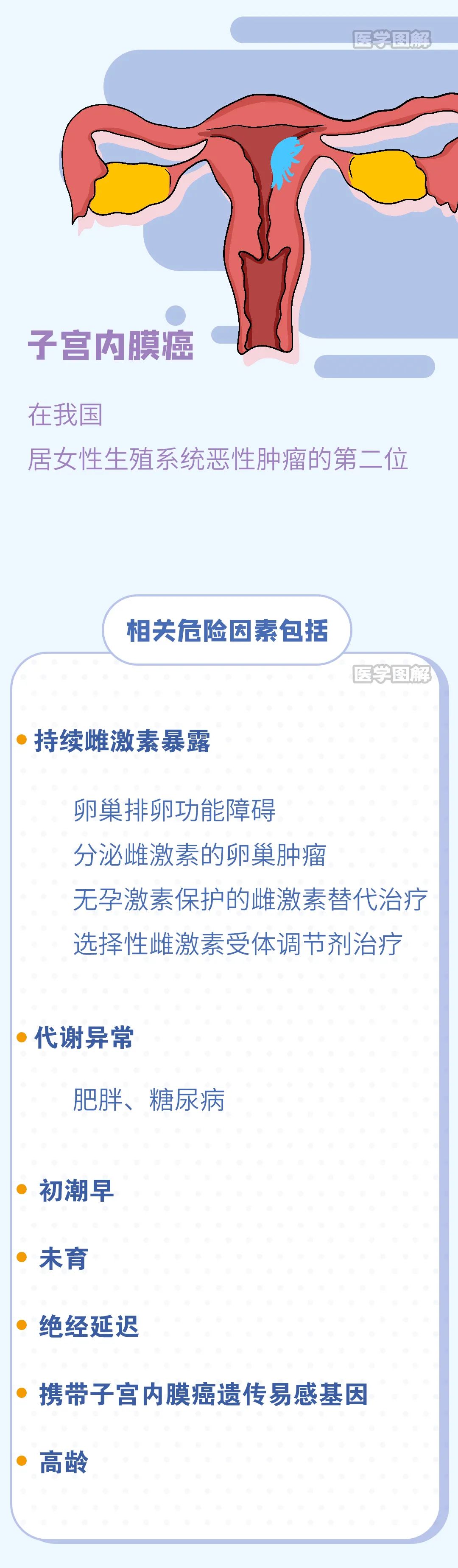 女性生殖系统第二大恶性肿瘤子宫内膜癌丨医学图解