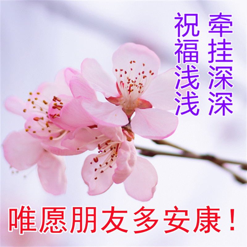 搞笑图片带字笑死人 动态，搞笑图片带字笑死人动态