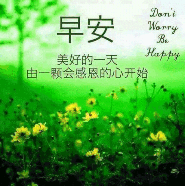 早安问候语大全 早安问候图片带字