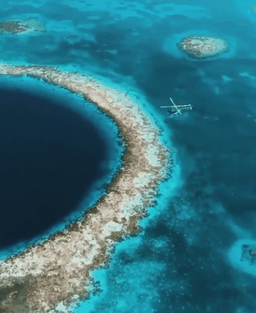 潜水圣地洪都拉斯伯利兹大蓝洞