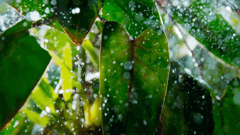 最热的书,这速度,我服!