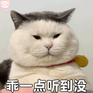给老子乖一点你这个臭猪第294期喵表情